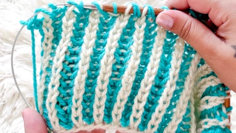 Ponto brioche 2 cores